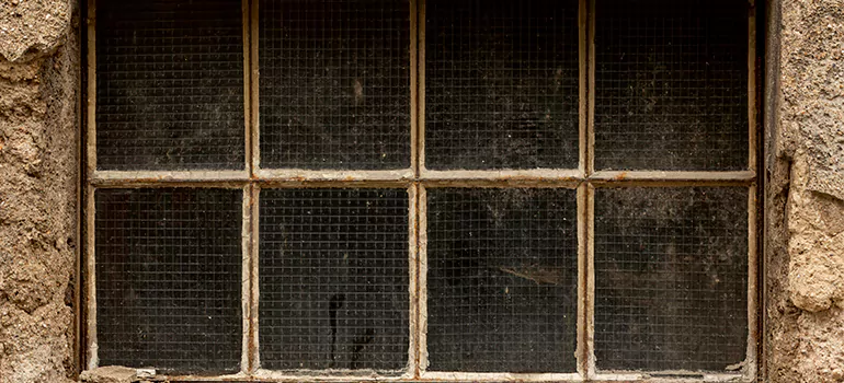 Traditional Double Front Doors in Kissimmee, FL