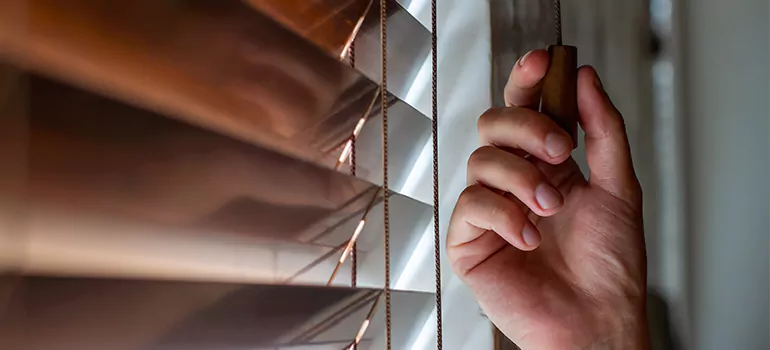 Double Roller Blinds in Kissimmee, FL