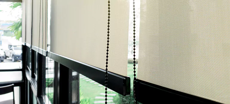 Blackout Window Shades in Kissimmee, FL