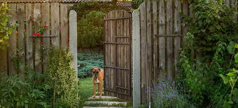 Winter Garden Garage Door Repair in Kissimmee,[location field=state]