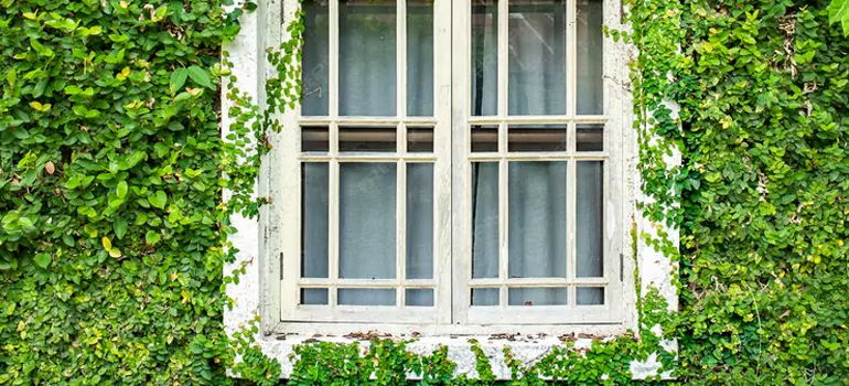 Garden Window Repair Near Me in Kissimmee, FL