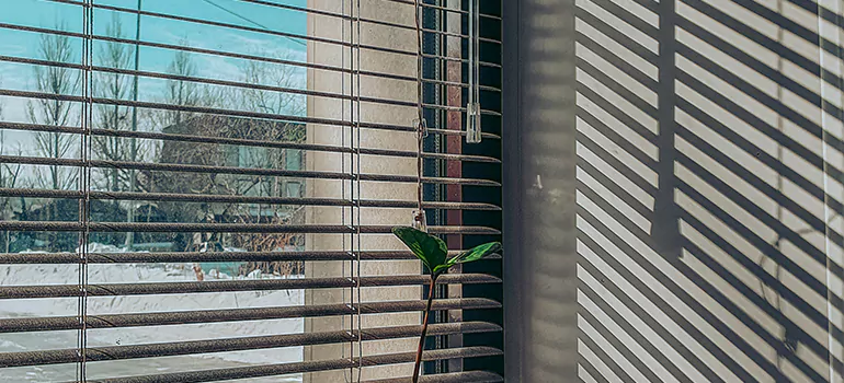Commercial Window Blinds in Kissimmee, FL