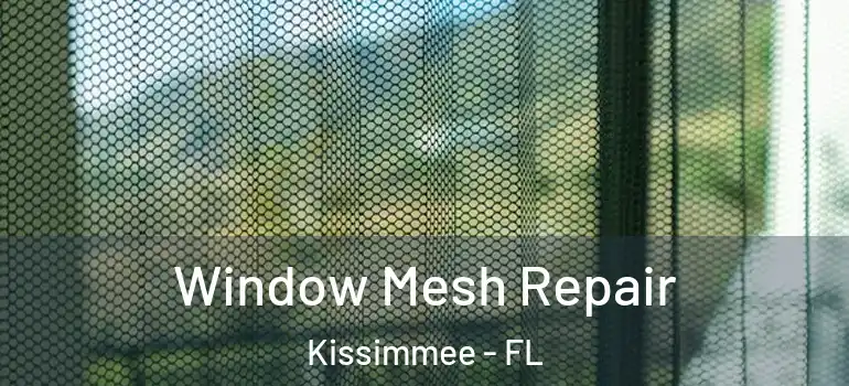  Window Mesh Repair Kissimmee - FL