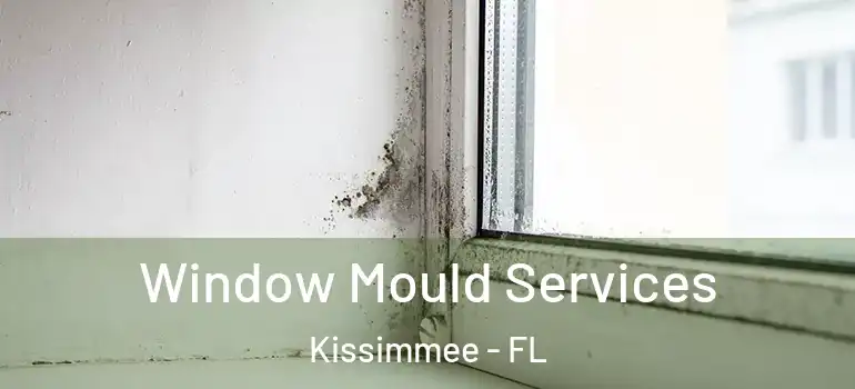  Window Mould Services Kissimmee - FL