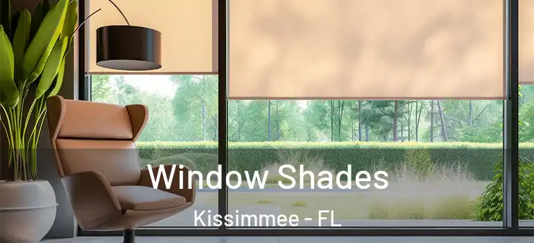  Window Shades Kissimmee - FL